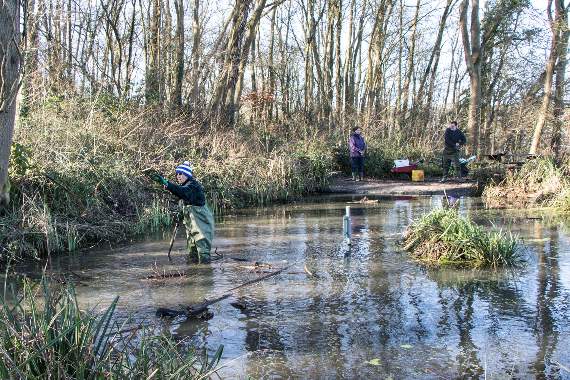 Five weeks of forest bathing to get underway