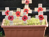 Last minute effort saves  Town’s Remembrance Parade