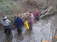 New wildlife pond to enhance biodiversity