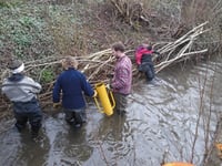 New wildlife pond to enhance biodiversity
