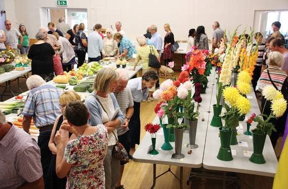 Farmborough’s fun and friendly flower show returns