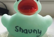 Are you the owner of  Norton’s mystery duck?