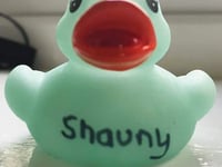 Are you the owner of  Norton’s mystery duck?