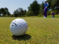 Successful Autumn Bowmaker for Mendip Golf Club