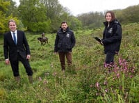 Metro Mayor Dan Norris is buzzing for bees