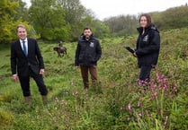 Metro Mayor Dan Norris is buzzing for bees