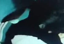 CCTV appeal after store robbery in Bishop Sutton