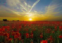 Remembrance Sunday to be marked in new ways