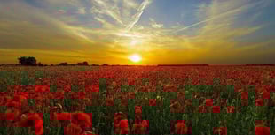 Remembrance Sunday to be marked in new ways