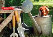 Volunteer gardeners wanted for Hive