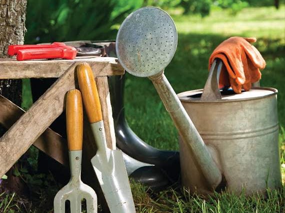 Volunteer gardeners wanted for Hive