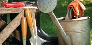 Volunteer gardeners wanted for Hive