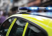 Man jailed and banned from owning animals after admitting cruelty