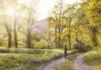 Join Somer Valley Ramblers on wonderful winter walks