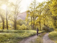 Join Somer Valley Ramblers on wonderful winter walks