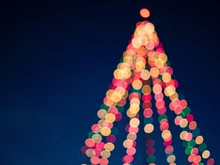 Christmas Craft Fair to raise funds for SWALLOW
