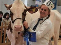 Moo-ve over competitors, Writhlington resident wows judges