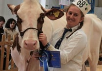 Moo-ve over competitors, Writhlington resident wows judges