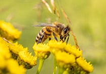 Pesticide powers “must be devolved”