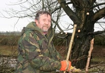 Hardy Agricultural Society hold annual hedge laying match in extreme weather