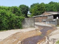 Somerset supplier to national supermarkets fined for polluting watercourse