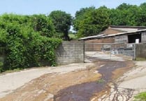 Somerset supplier to national supermarkets fined for polluting watercourse