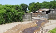 Somerset supplier to national supermarkets fined for polluting watercourse
