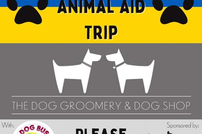 Local dog groomer raises over £5k in less than 24 hours for Ukrainian Animal Aid Local dog groomer raises over £5k in less than 24 hours for Ukrainian Animal Aid