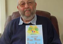 Sixth book underway for Author