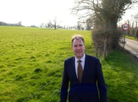 No Mow May set to help bees