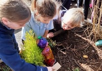 Shoscombe School children ‘dig deep’ in Spirituality Garden