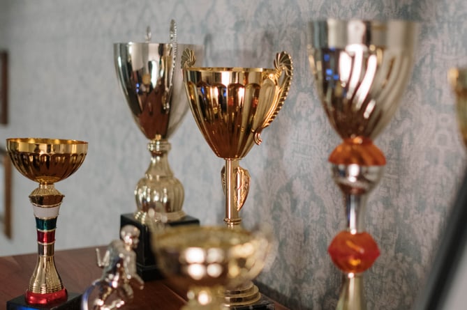 Photographs of trophies on a table.