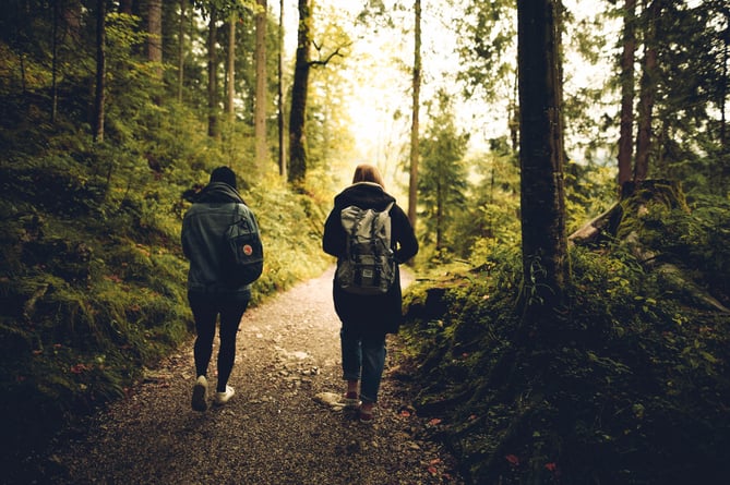Two people walking through woodland. 