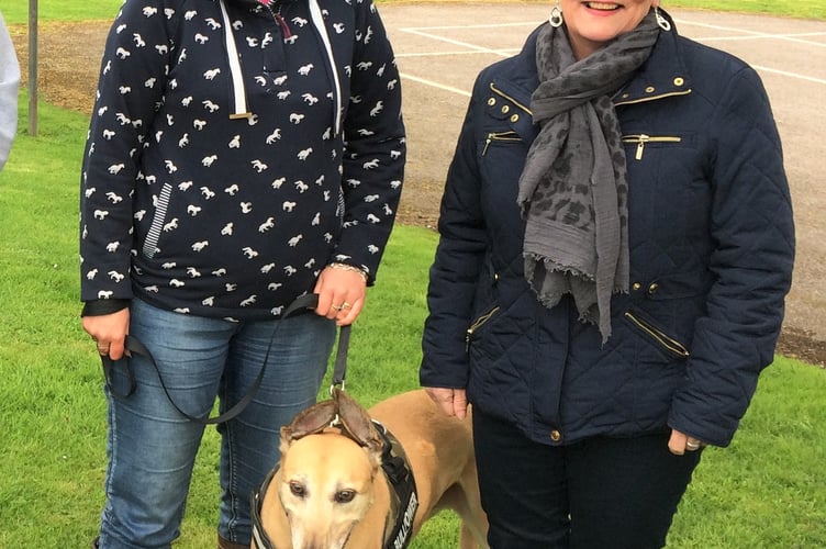Peasedown Community Trust to hold a dog show. 