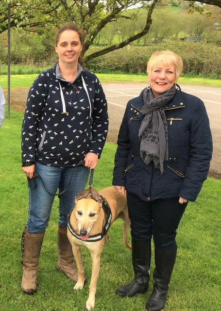 Peasedown Community Trust to hold a dog show.