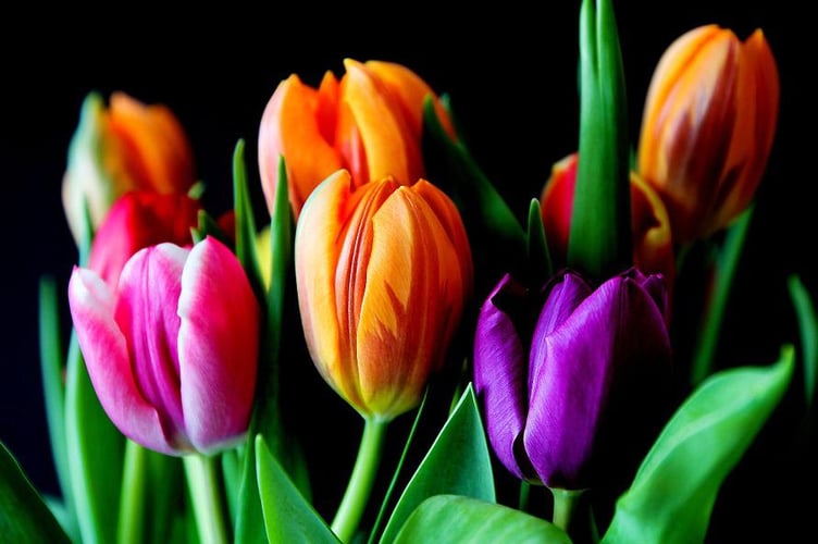 Flowers