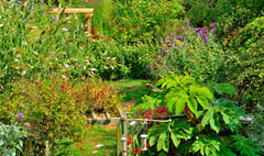 Transform your garden into a haven for wildlife