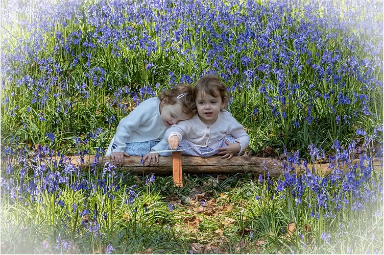 Twins in the Bluebells, colour section winner.