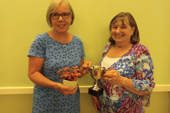Addie Schwartz won with her Fittonia ‘Bubble Plant’ and was presented with the challenge cup by Chairperson Judith Stanford (pictured).