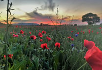 Dressing of the Graves ceremonies to  take place in remembrance