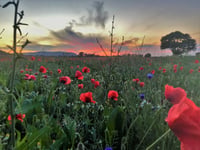 Dressing of the Graves ceremonies to  take place in remembrance