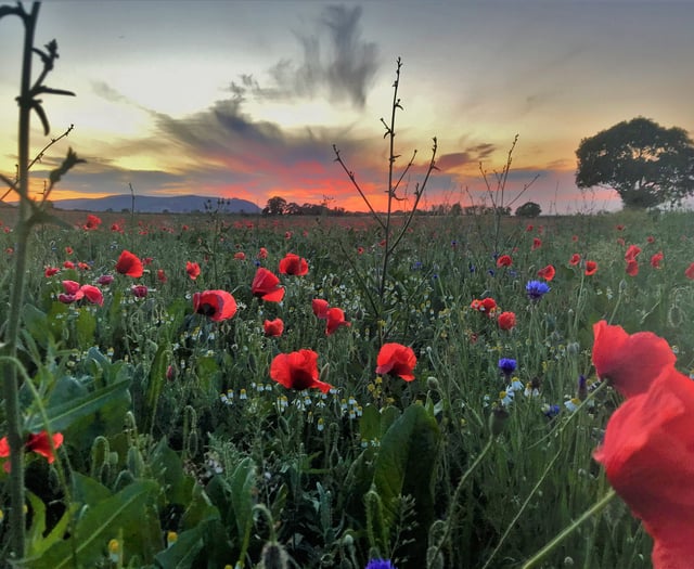 Dressing of the Graves ceremonies to  take place in remembrance