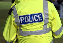 Police appeal as handbag stolen from woman, 93