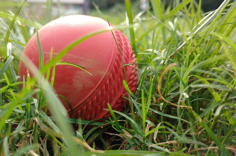 Who’s playing ball?