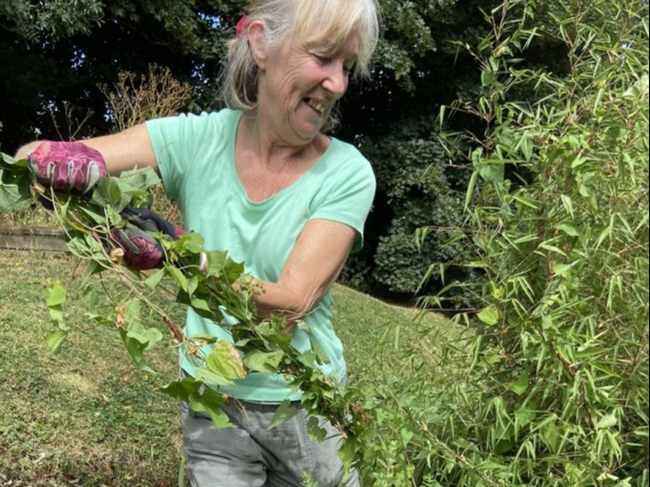 Much of the approach to control has been to pull out bindweed as can be seen in this photo of Gail in the front border.