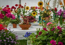 Chilcompton Society annual flower show