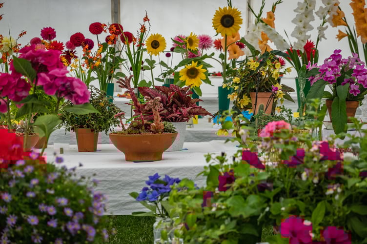 Flowers in the Horticulture display