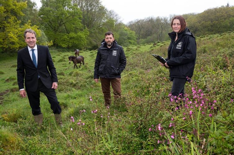 WECA Metro Mayor Dan Norris with Ian and Amy from Avon Wildlife Trust at Folly Farm where the wild flowers are attracting pollinators.