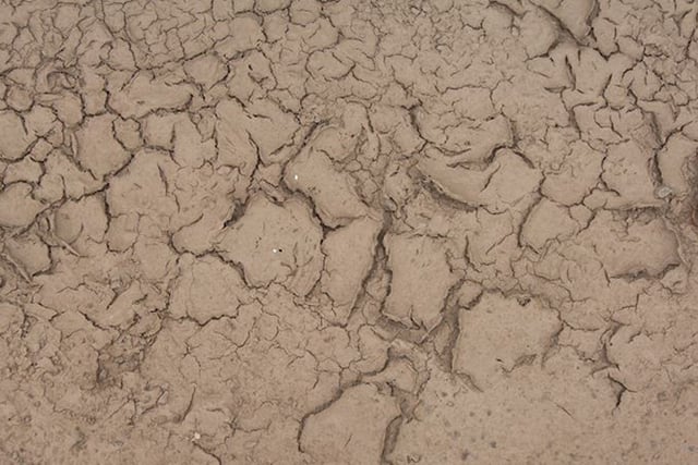 Drought declared in South West region
