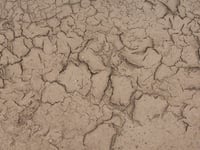Drought declared in South West region